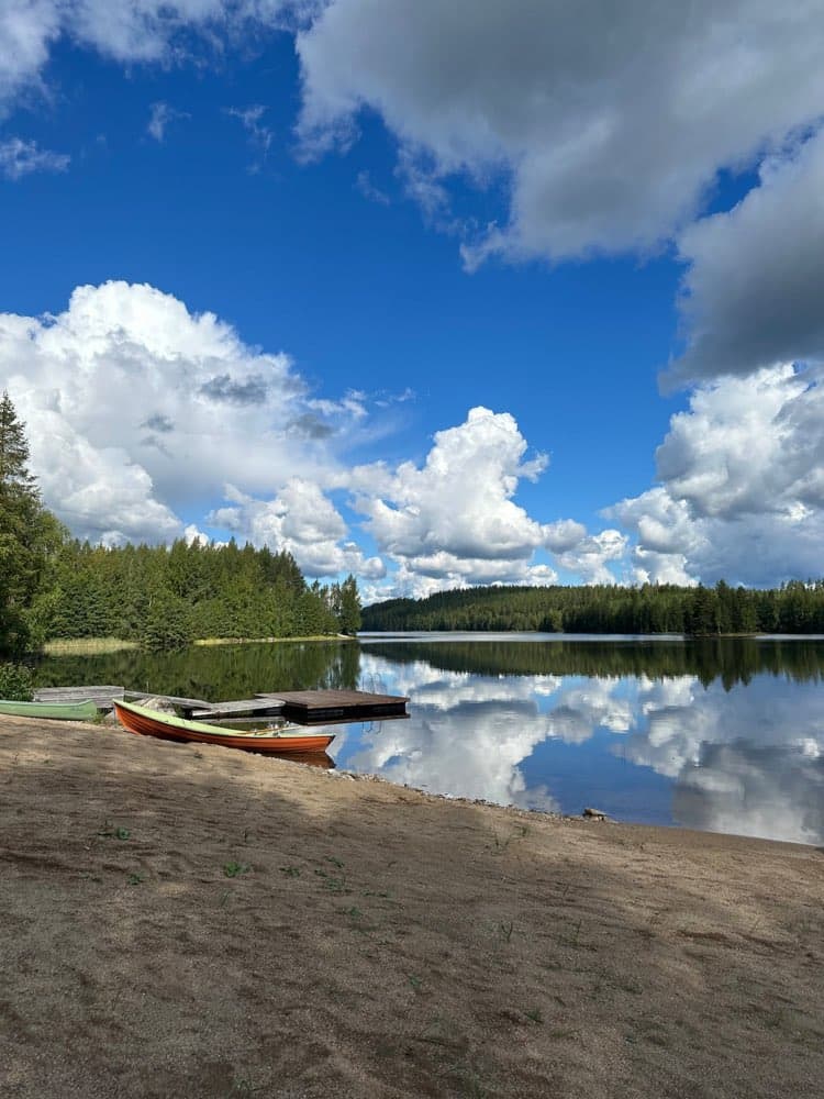 Ilves — Additional photos 1