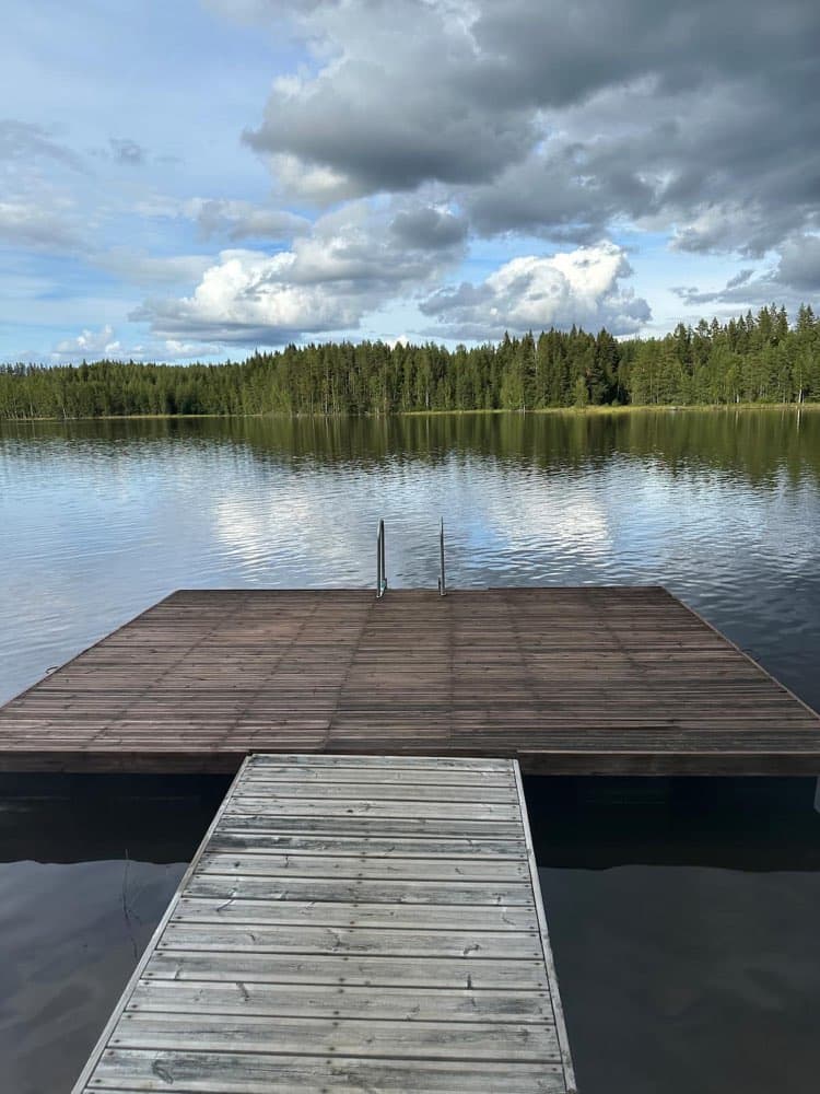 Ilves — Additional photos 4
