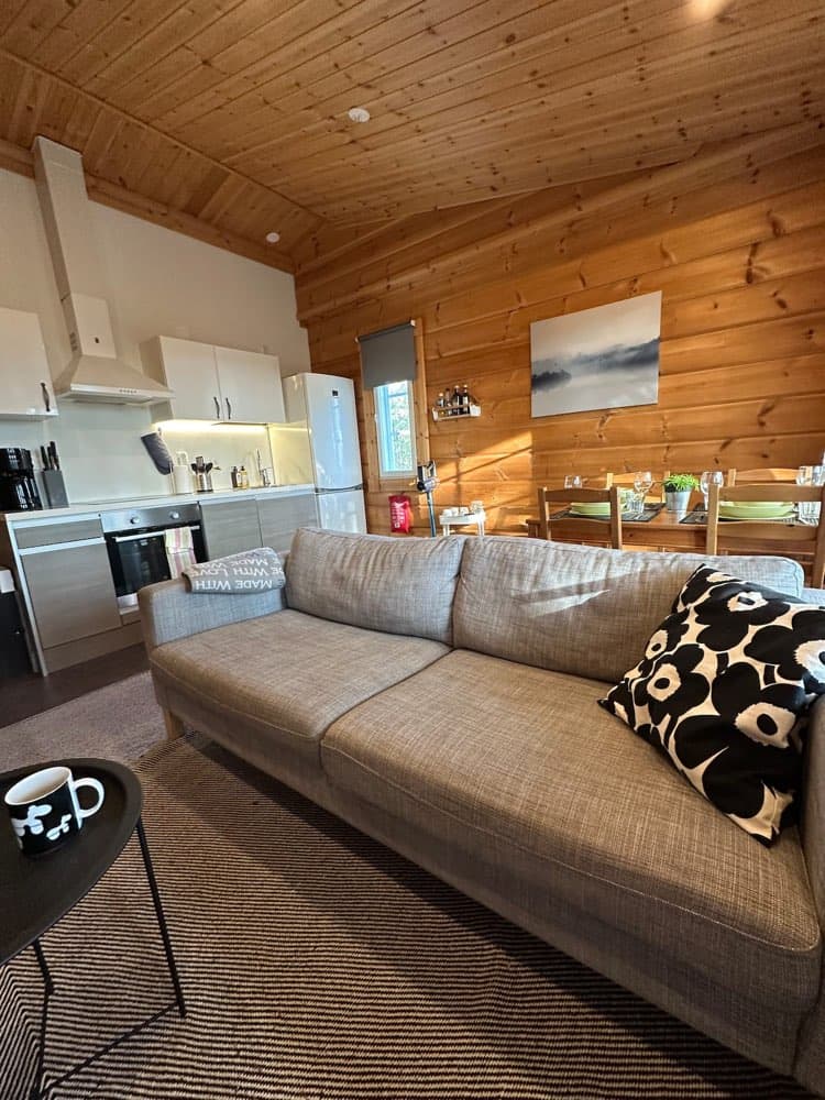Joutsen — Living room 3