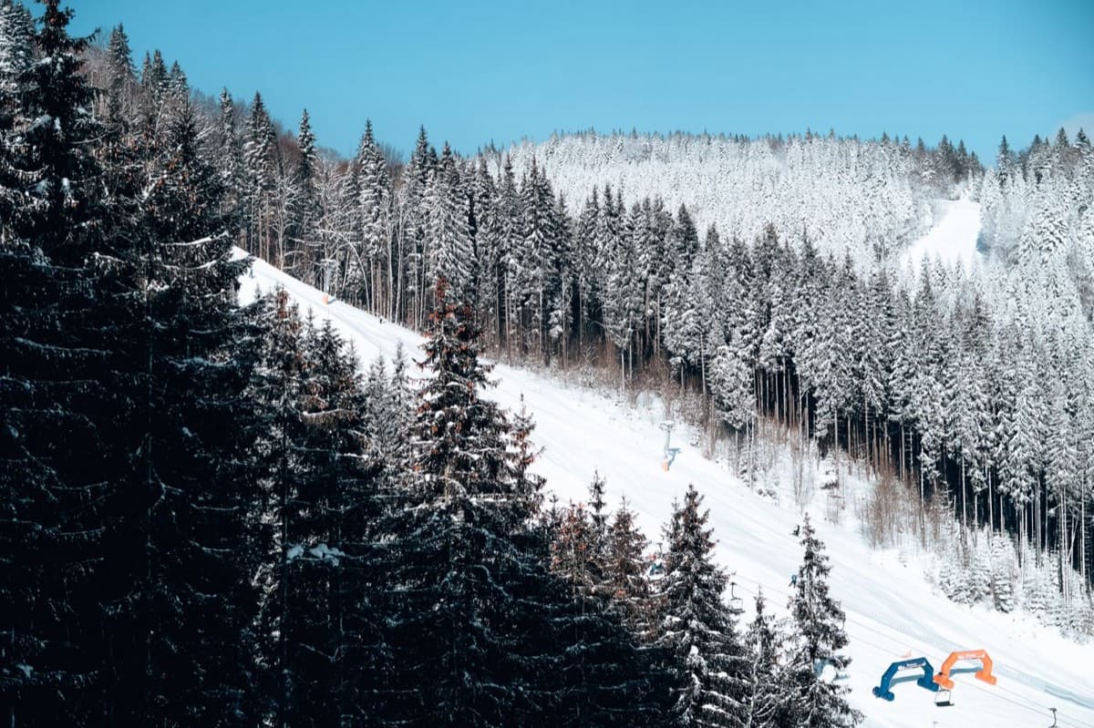 Laskettelutunti — 1
